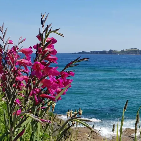 Bermeo, Museoa Bermeo