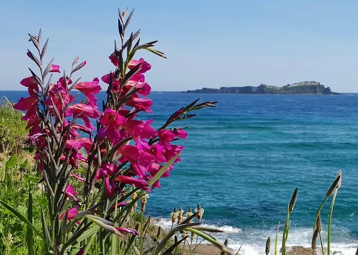 Bermeo, Museoa Bermeo
